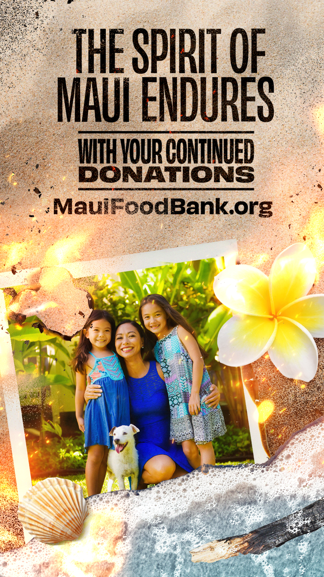 OUT_MauiFoodBank.Spirit_1080x1920_SHELTER OUT_MauiFoodBank.Spirit_1080x1920_SHELTER
